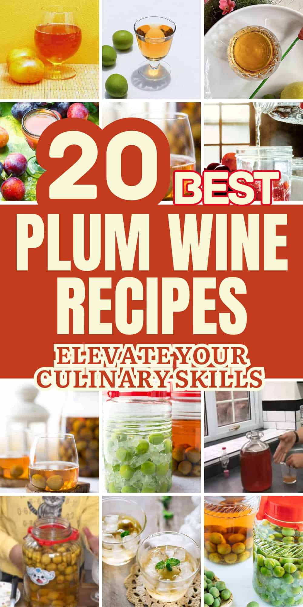 how-to-make-plum-wine