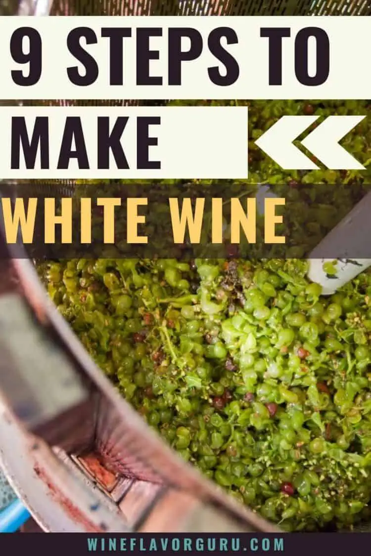 9 Steps to Make White Wine