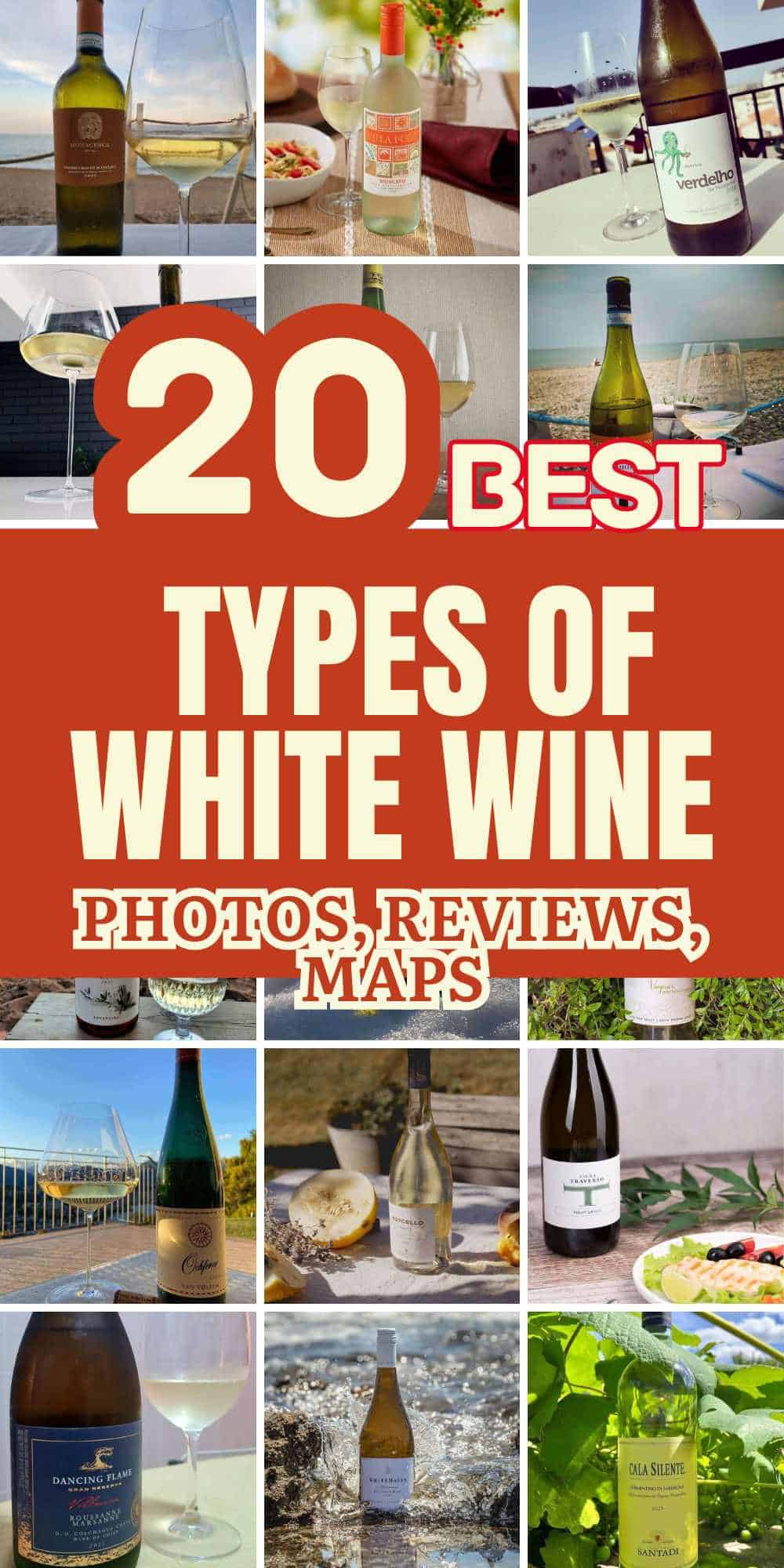 popular-types-of-white-wine