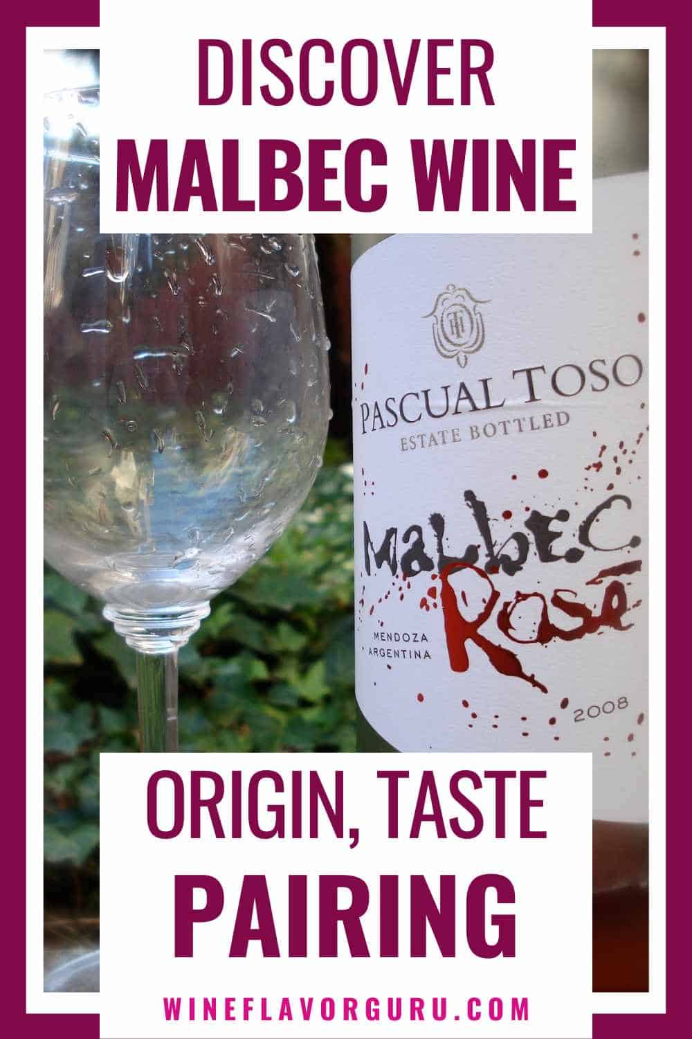 what is Malbec Wine