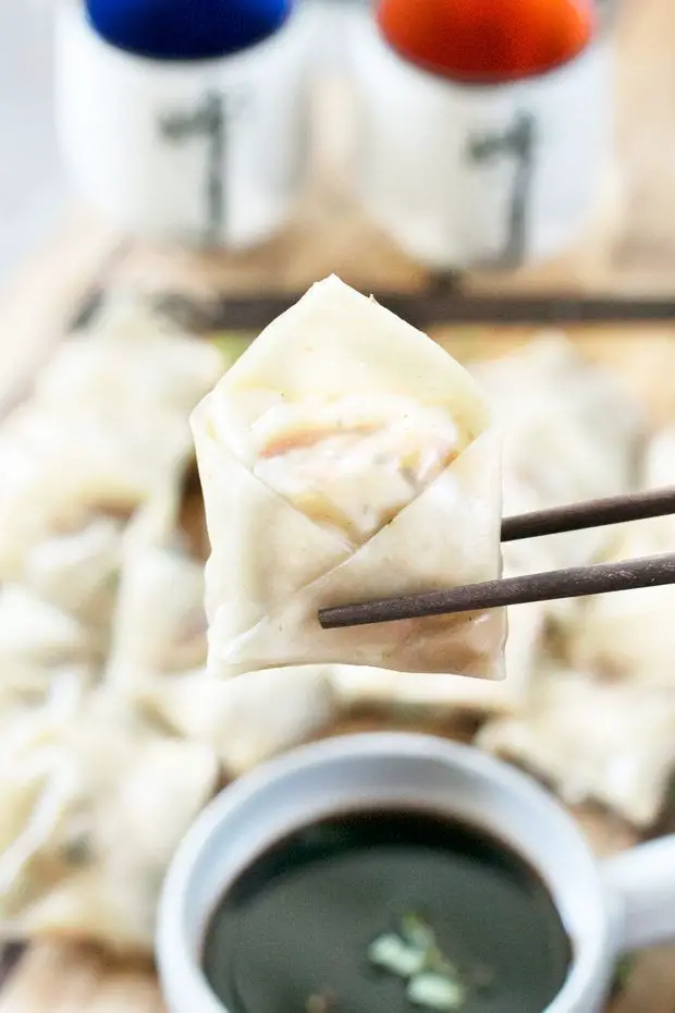 Steamed Vegetable Wontons