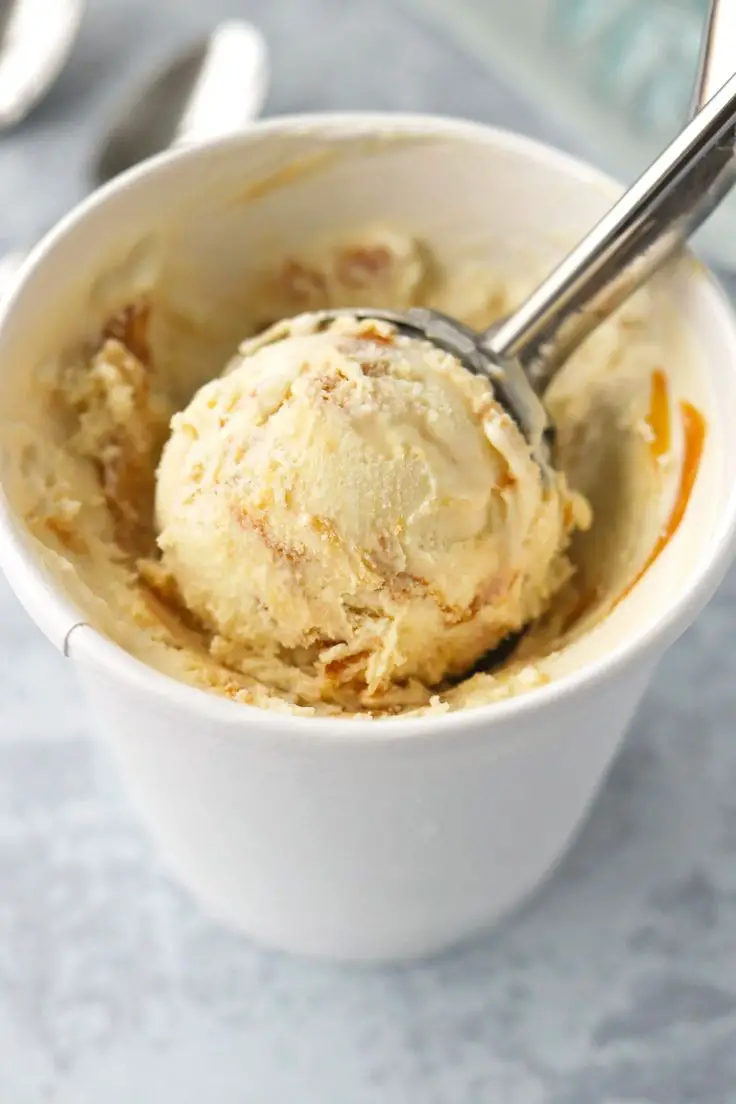 Baileys Salted Caramel Peanut Butter Ice Cream