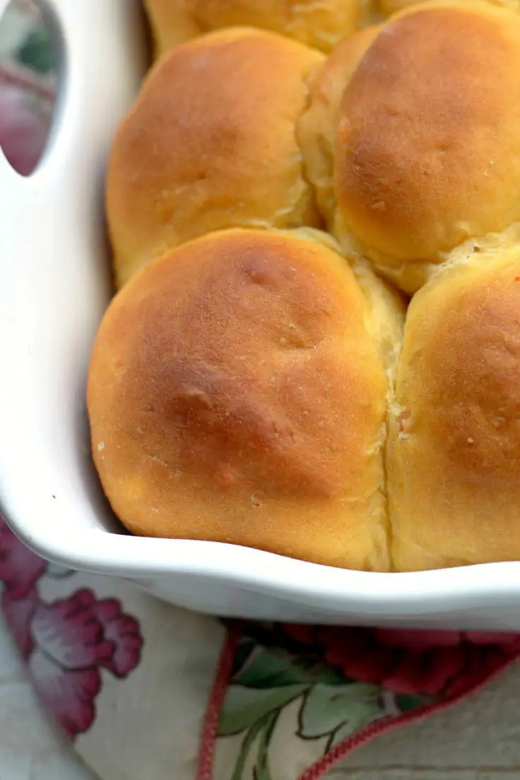 Sweet Potato Dinner Rolls