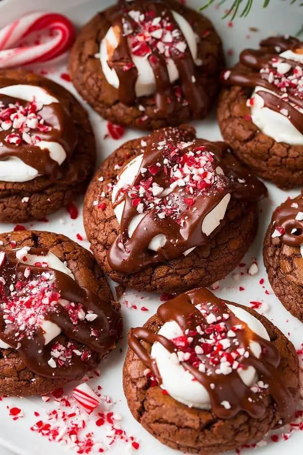 Peppermint Hot Cocoa Cookies