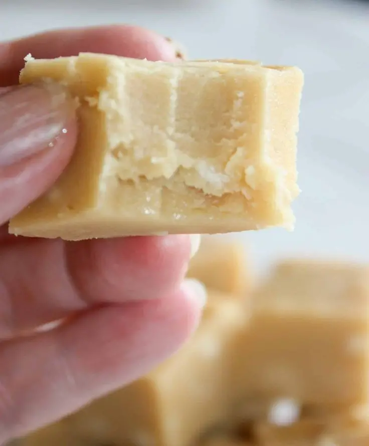 Banana Fudge