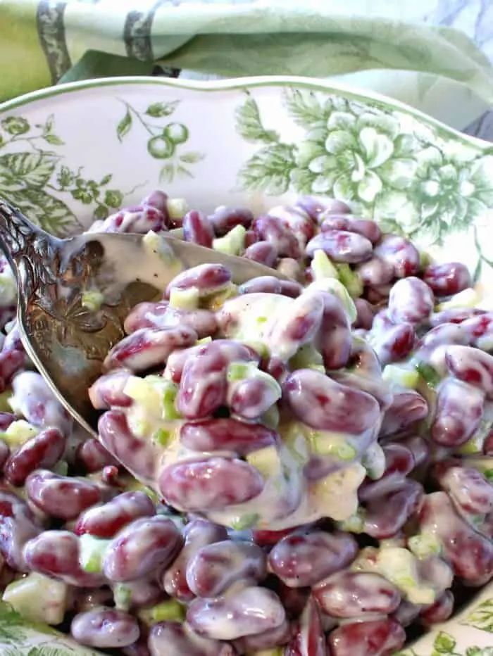 Old-Fashioned Red Bean Salad