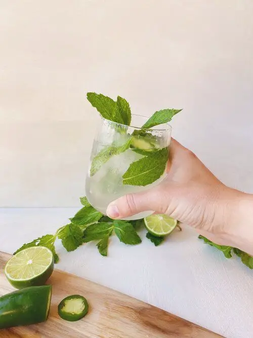 Spicy Jalapeño Mojito