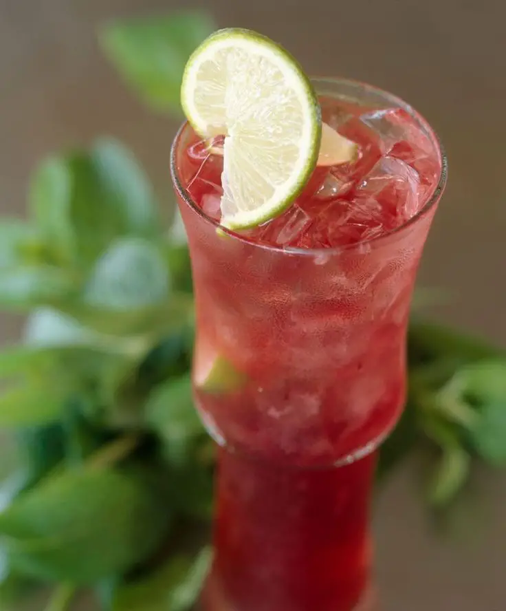 Lucy Buffett’s Bama Breeze Cocktail