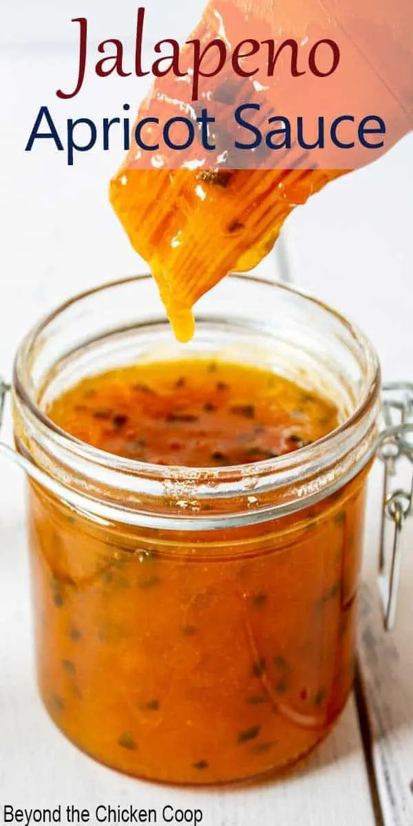 Jalapeño Apricot Sauce