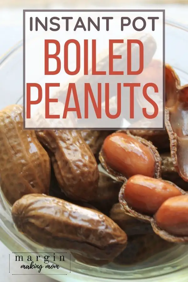 Boiled Peanuts