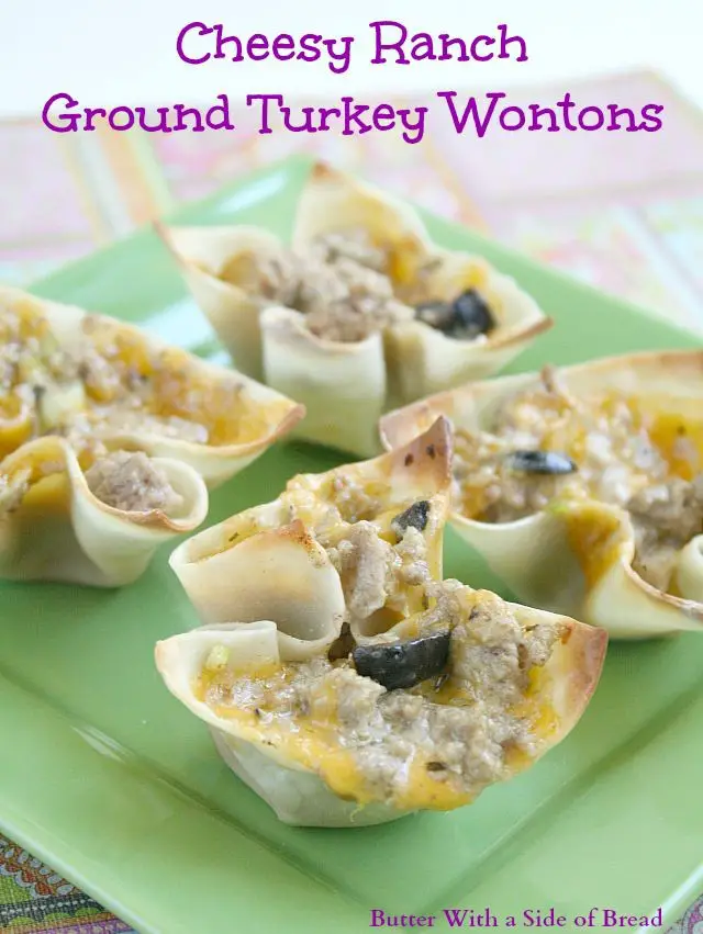 Cheesy Ranch Ground Turkey Wontons