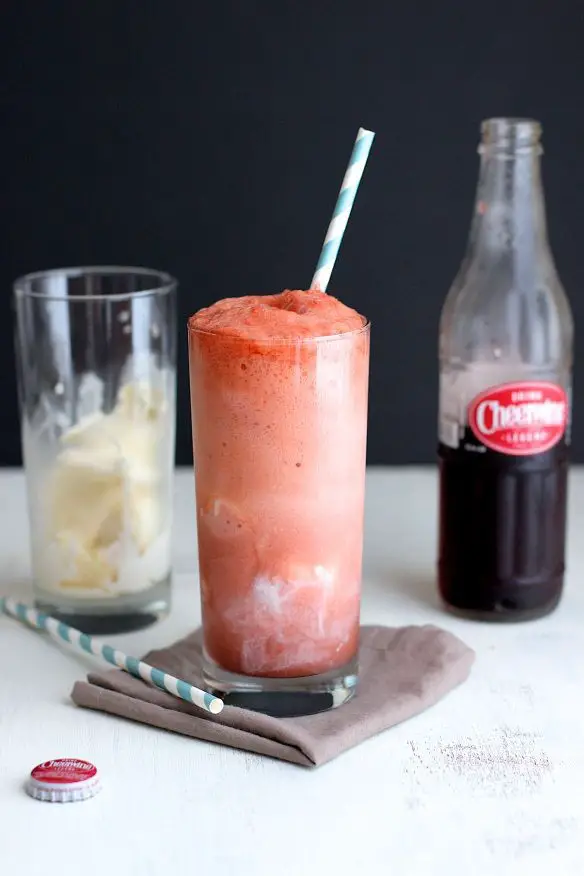 Cheerwine Floats