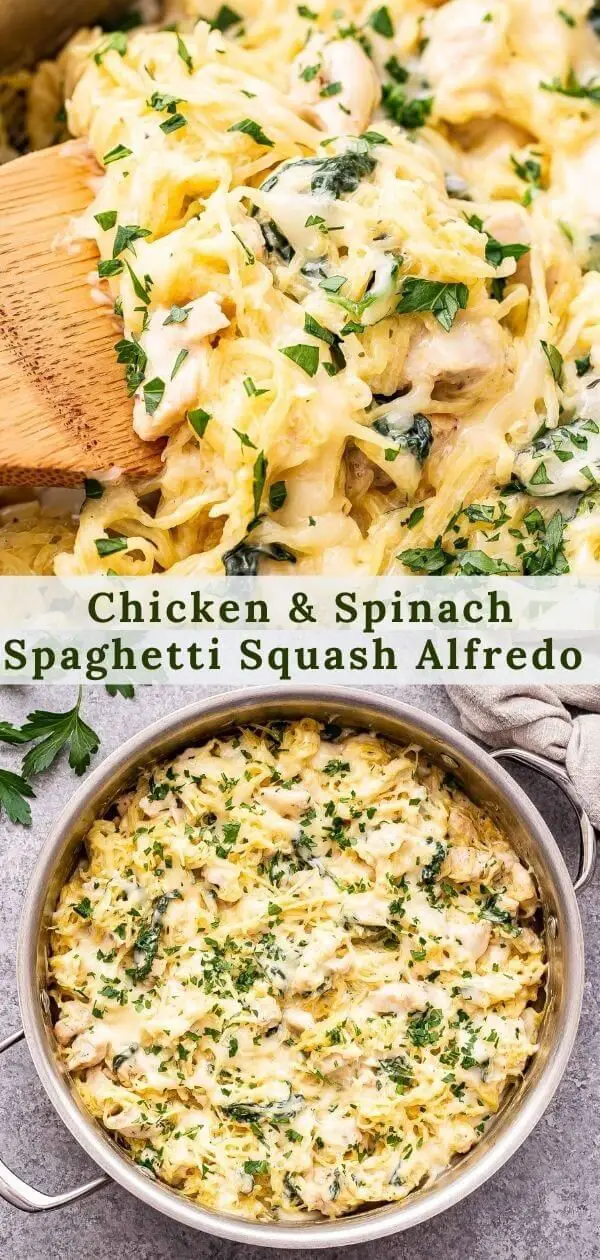 Chicken Spinach Spaghetti Squash Alfredo