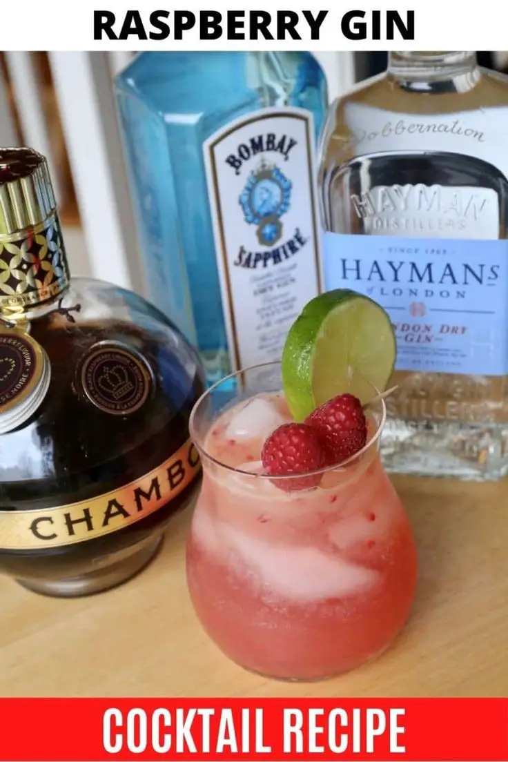 Raspberry Gin Fizz Chambord Cocktail