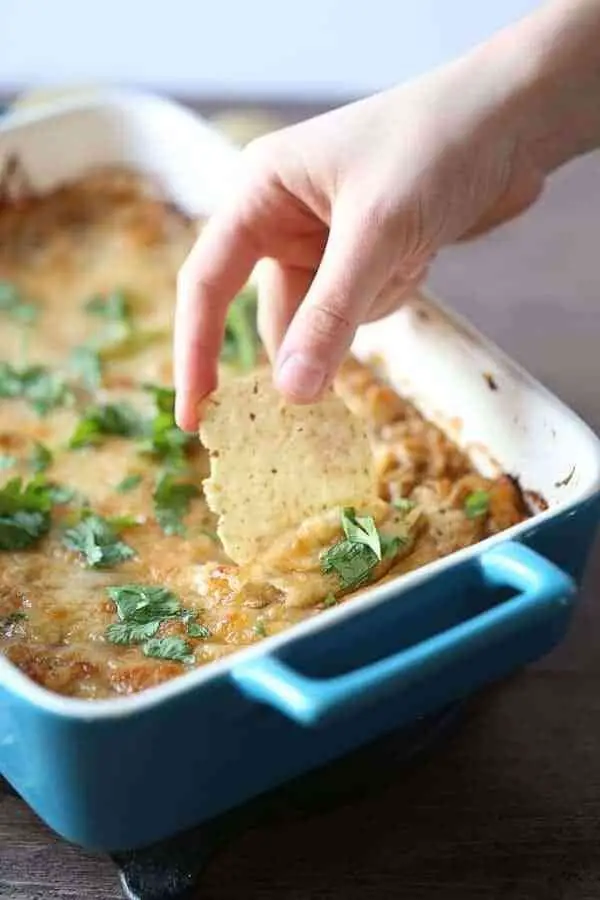 Jamaican Jerk Chicken Dip