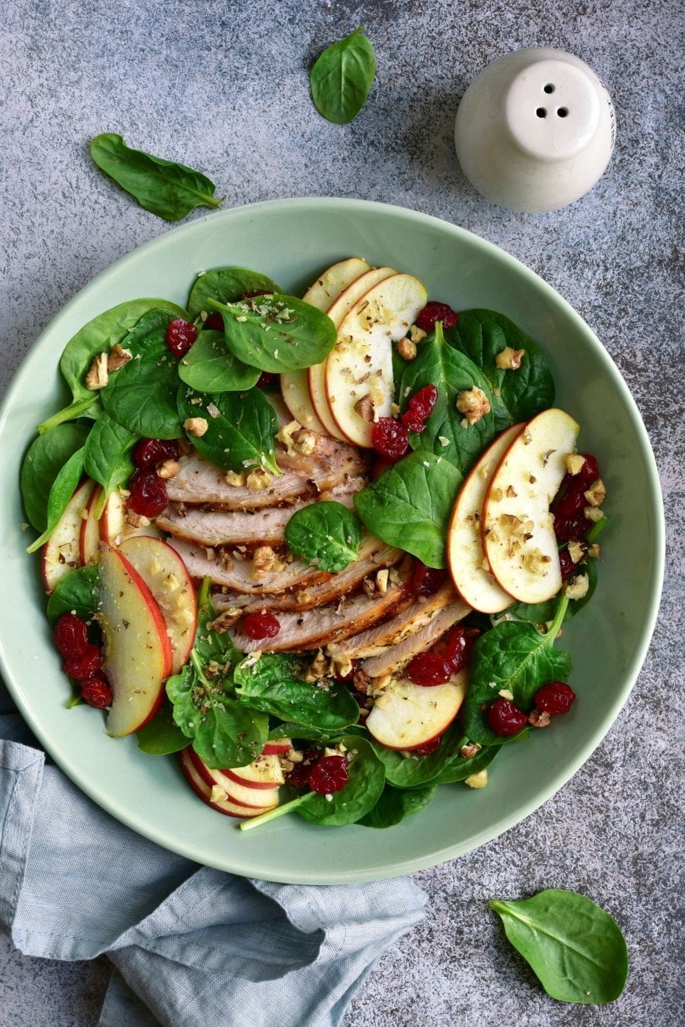 Dried Cranberries + Shredded Chicken