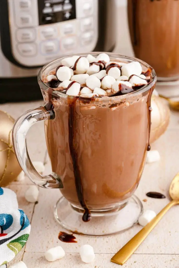 Instant Pot Hot Chocolate