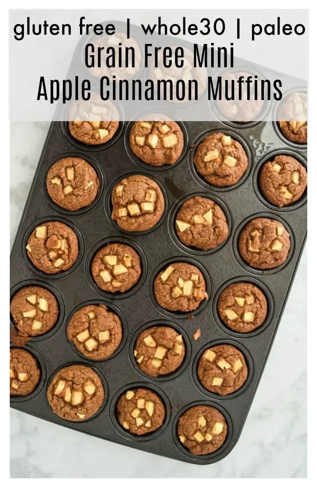 Grain-Free Apple Cinnamon Blender Muffins