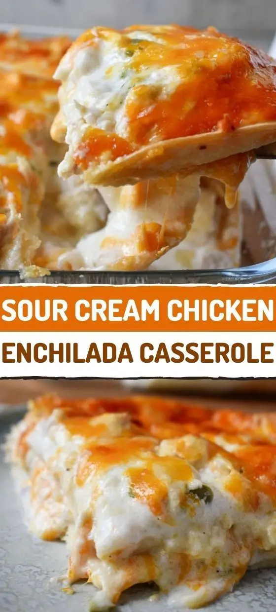 Sour Cream Chicken Enchilada Casserole