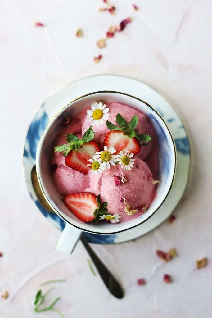 Strawberry Coconut Ice Cream