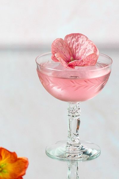 Hibiscus Martini